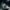 focus photography of person counting dollar banknotes